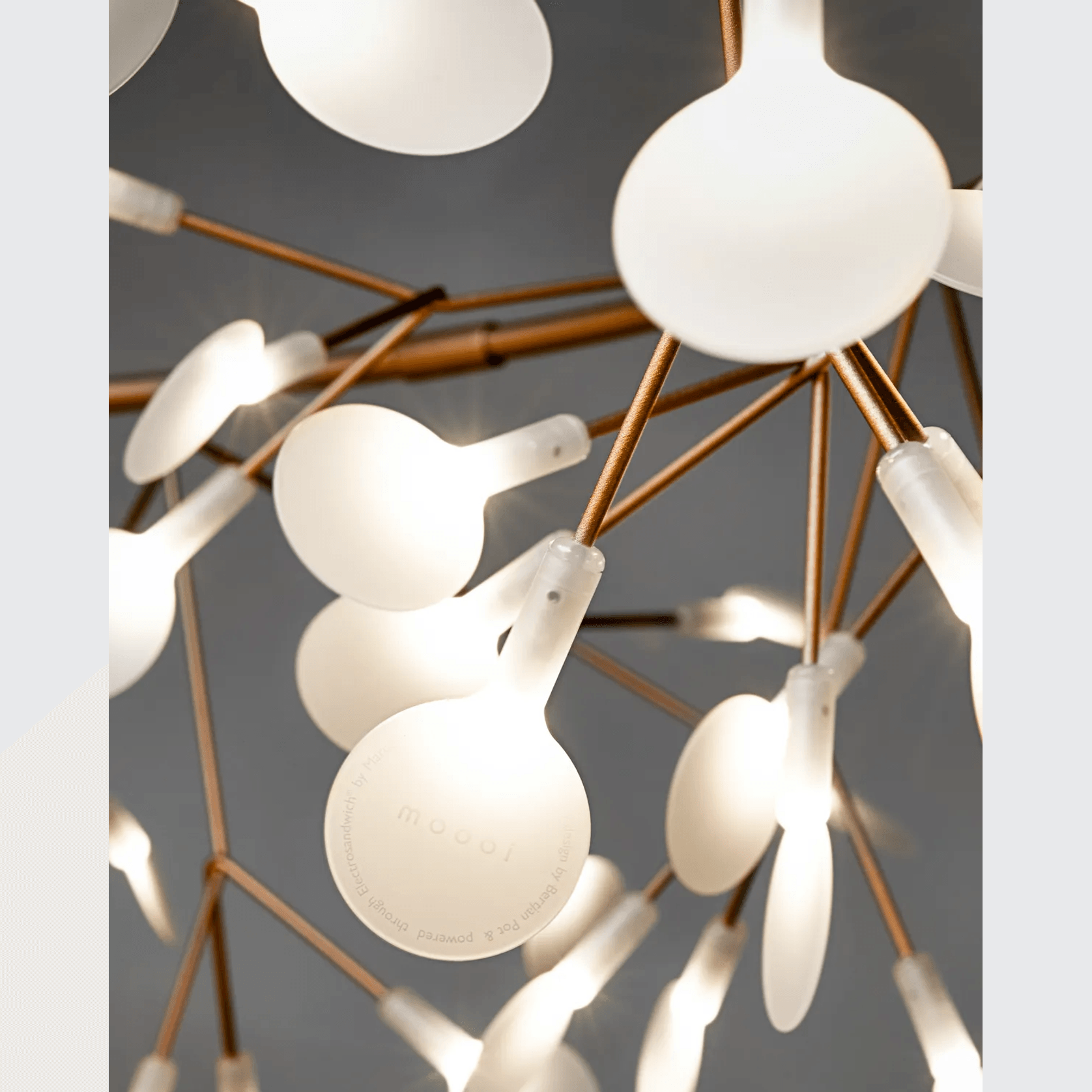 Heracleum III Large by Moooi gallery detail image
