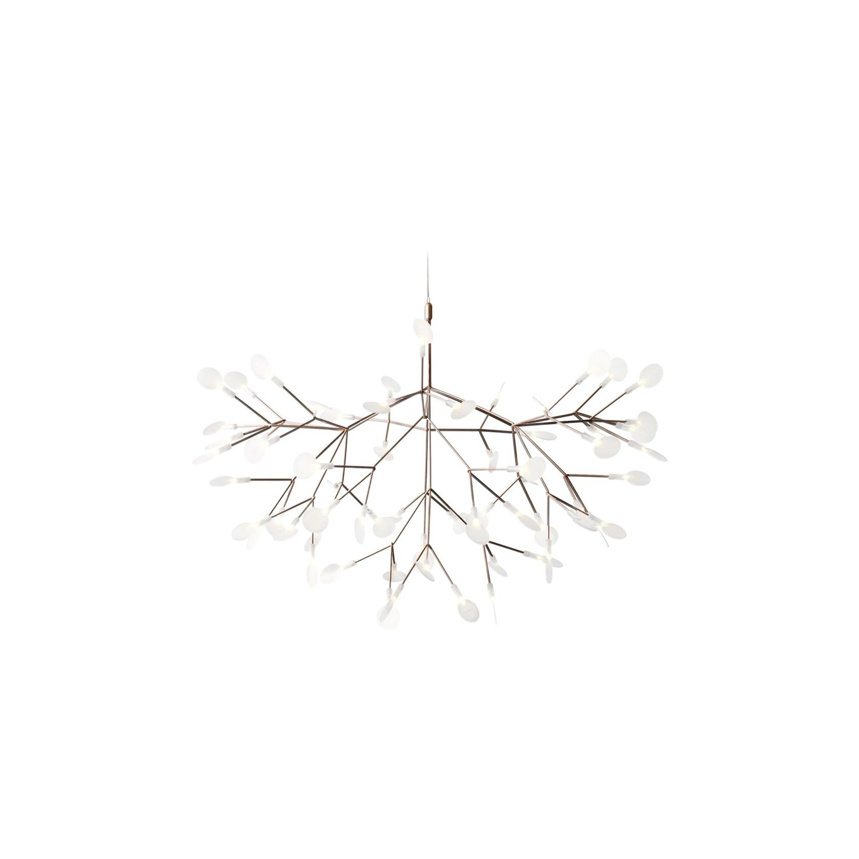 Heracleum III Large gallery detail image