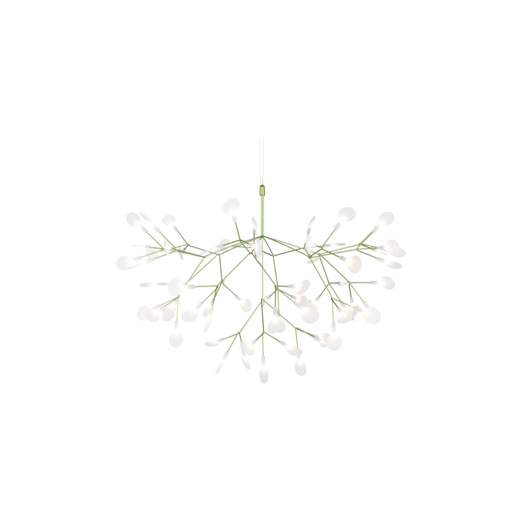 Heracleum III Large gallery detail image