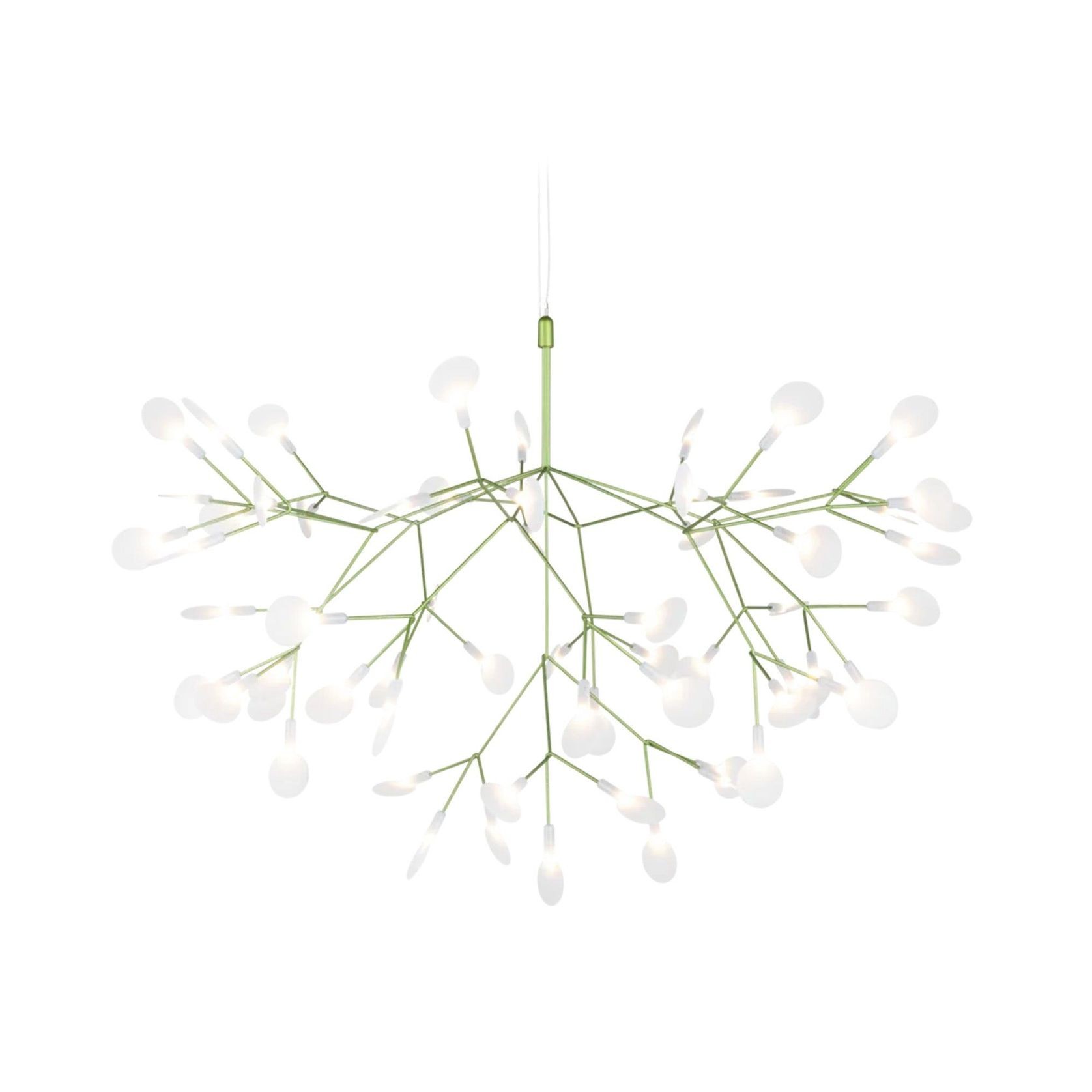 Heracleum III Large gallery detail image