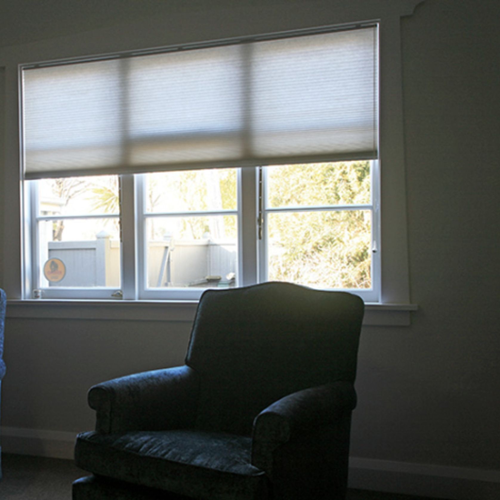 Honeycomb Pleated Blinds gallery detail image