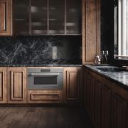 Wolf M Series Professional Convection Steam Oven gallery detail image