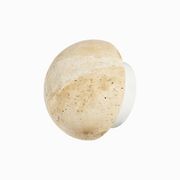 Roan Wall Light gallery detail image