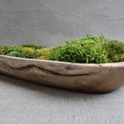 Vessel Of Nature Decor by Gaeae gallery detail image