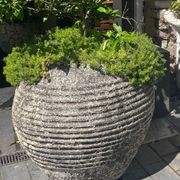 Beehive Jar gallery detail image