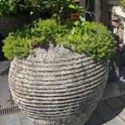 Beehive Jar gallery detail image