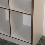 Cubbies and Lockers gallery detail image