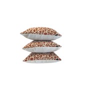 Leopard in Sunset Canyon gallery detail image