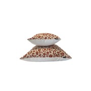 Leopard in Sunset Canyon gallery detail image