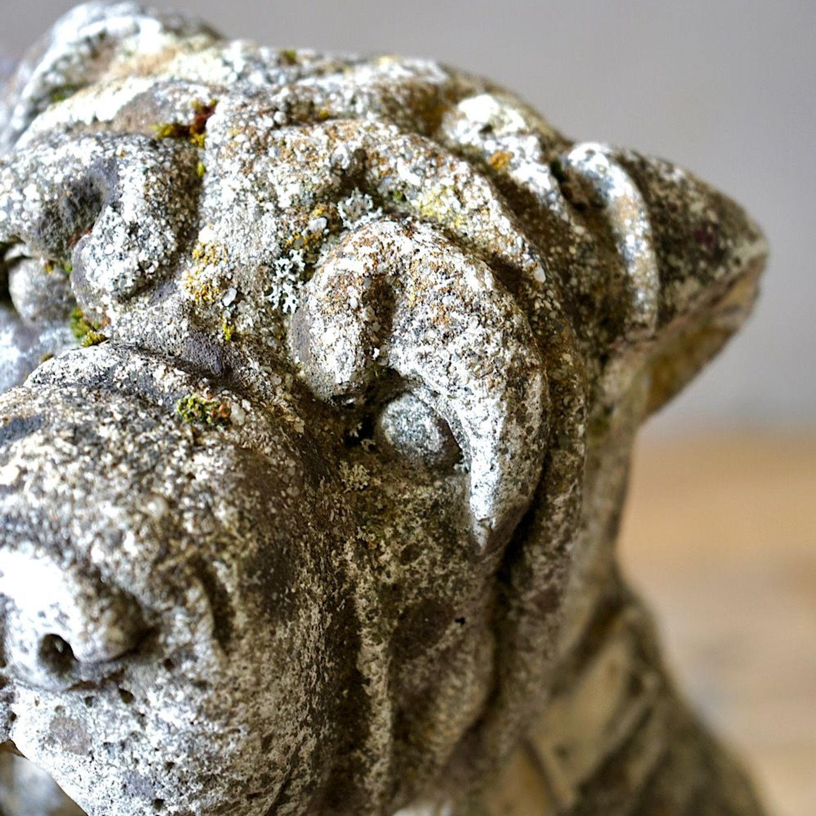 Cast Stone Dog Statues (Pair) gallery detail image