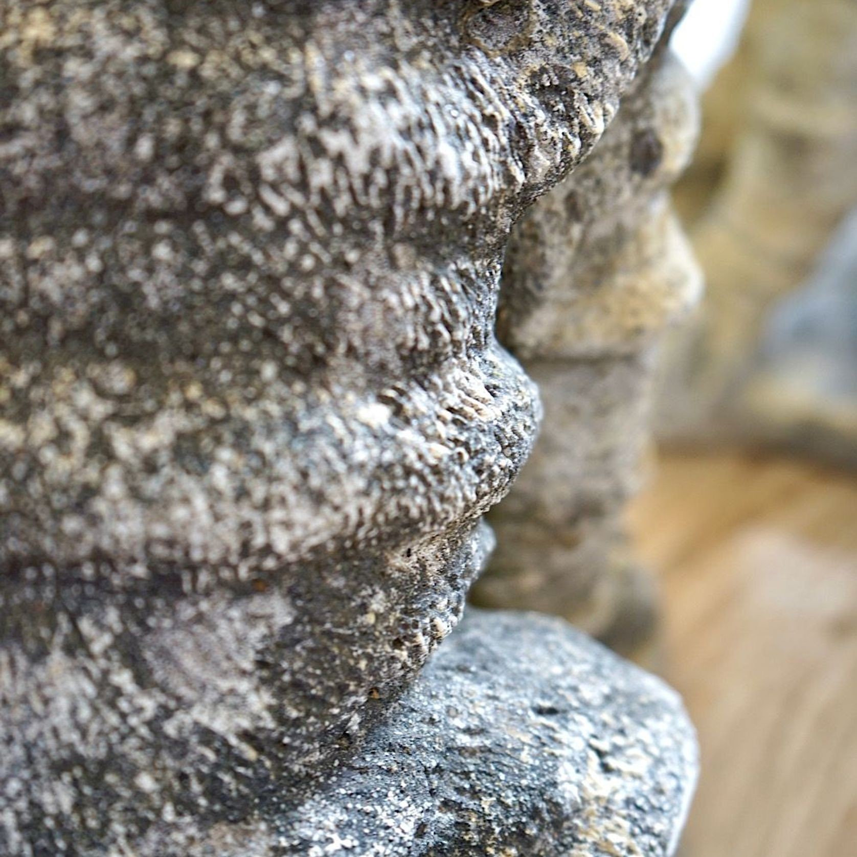Cast Stone Dog Statues (Pair) gallery detail image