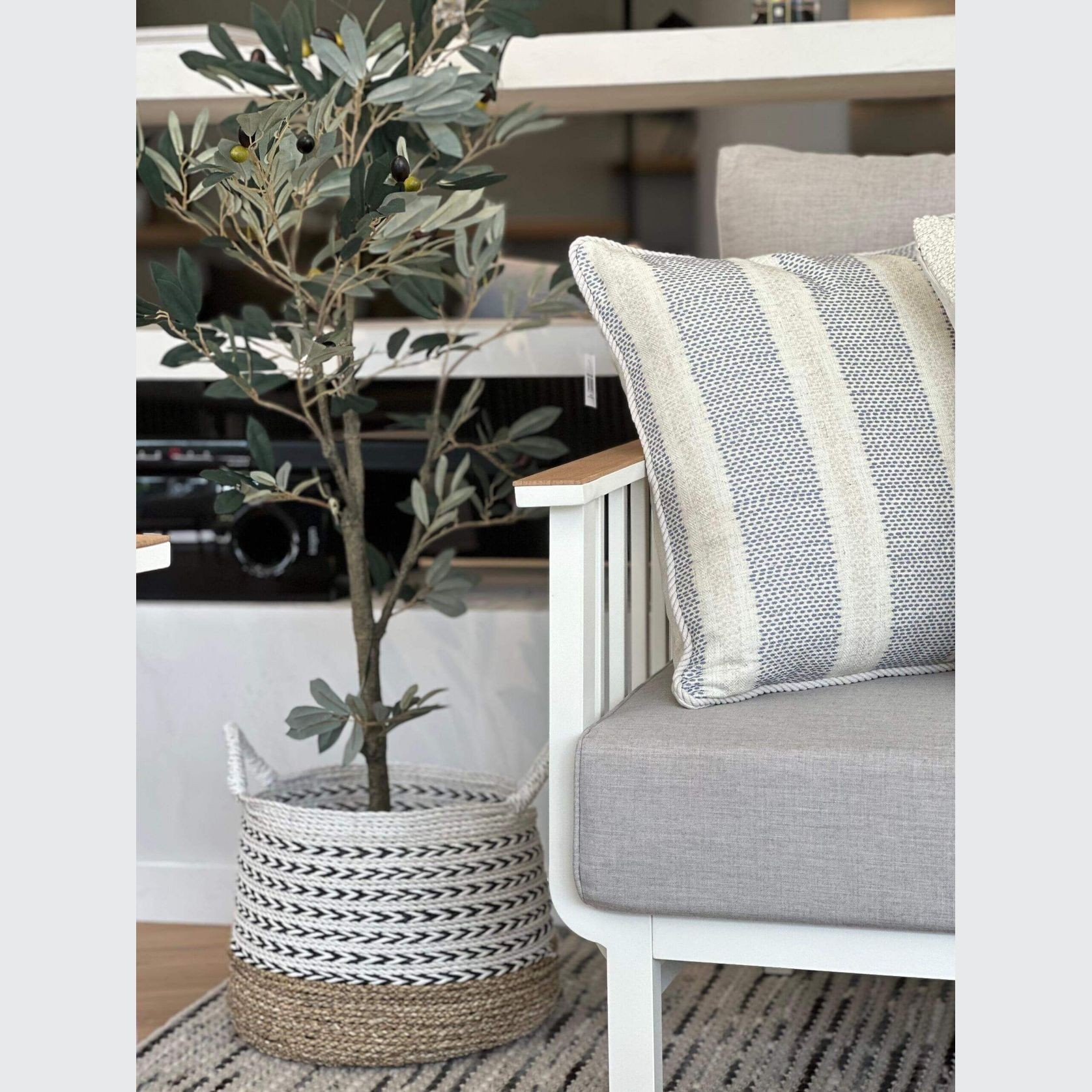 Potted Full Olive Tree 122cm gallery detail image