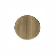 Sprinkler Cover Plate | Brushed Brass gallery detail image