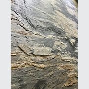 Ultra-thin Stone F102 gallery detail image
