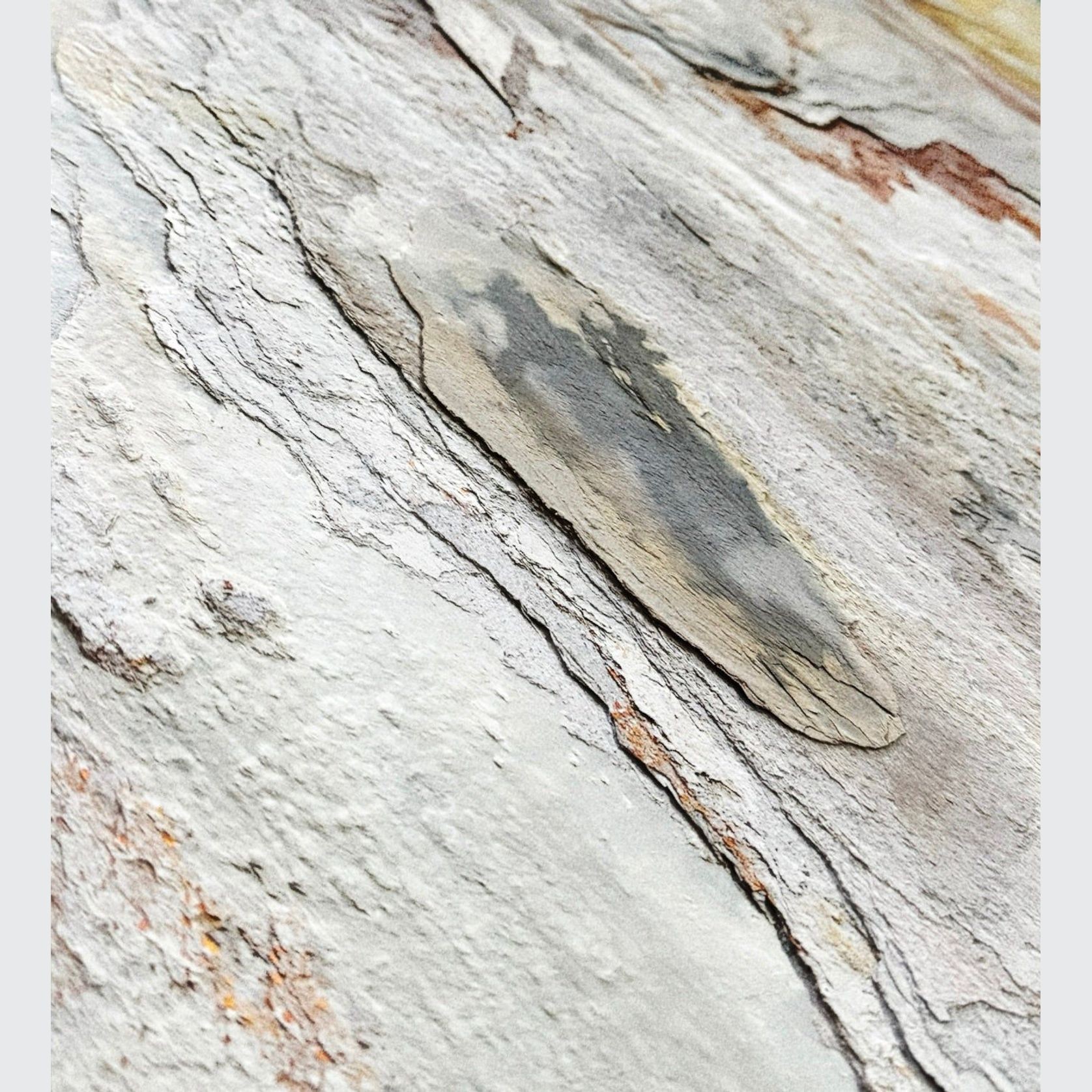 Ultra-thin Stone F101 gallery detail image