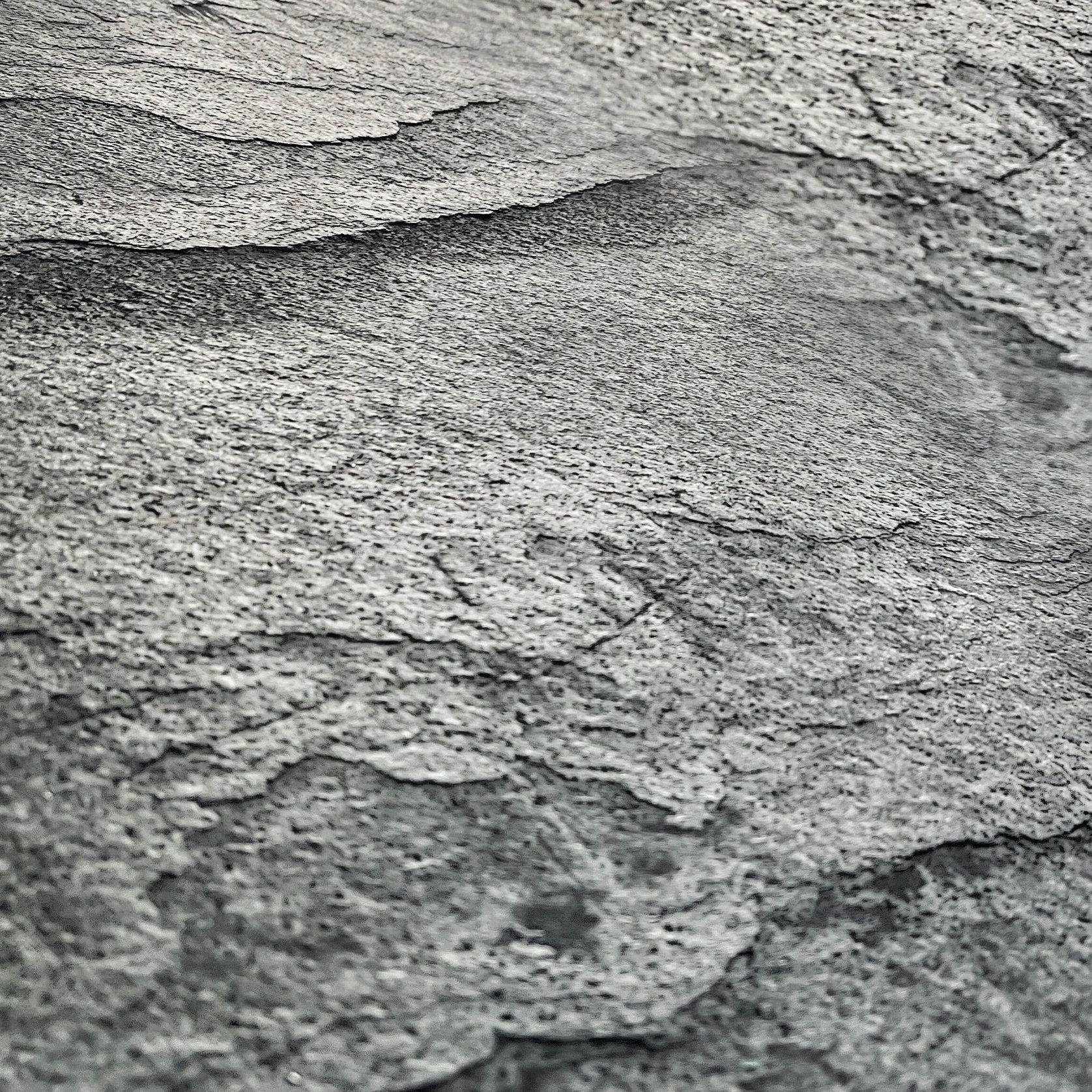 F111 gallery detail image