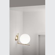 IC 1 Ceiling/Wall Mount gallery detail image