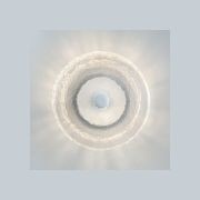 Coral Wall Light - Clear gallery detail image