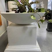 Wok Planter Bowl gallery detail image