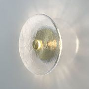 Coral Wall Light - Clear gallery detail image