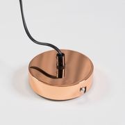 Industrial Cage Light - Copper gallery detail image