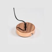 Industrial Cage Light - Copper gallery detail image