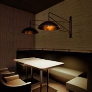 Lupine Custom Wall Light gallery detail image