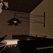 Lupine Custom Wall Light gallery detail image