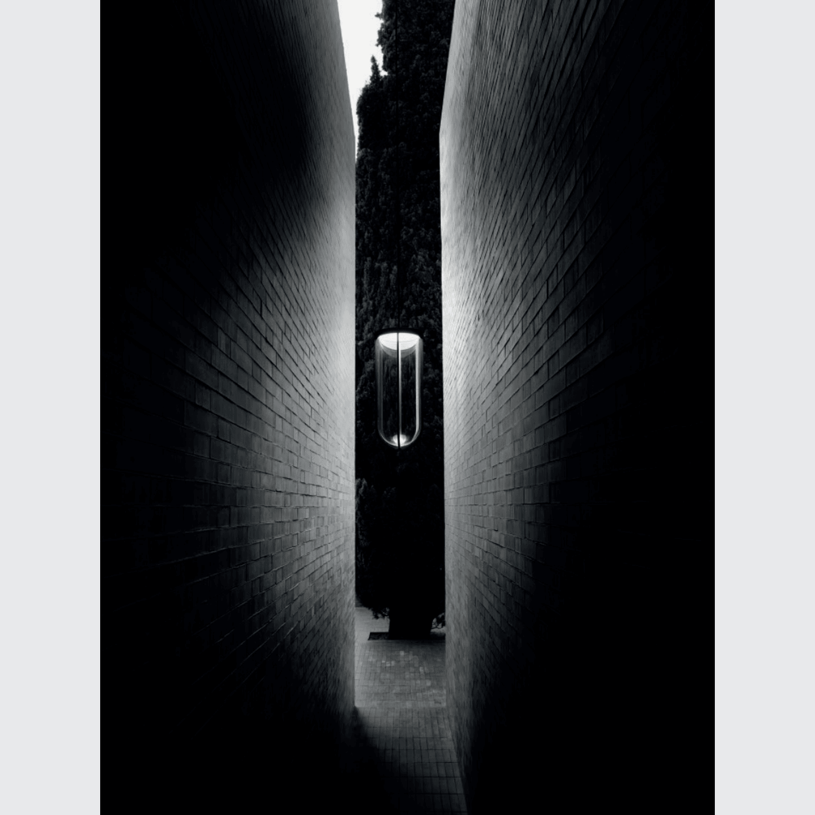 In Vitro Suspension gallery detail image