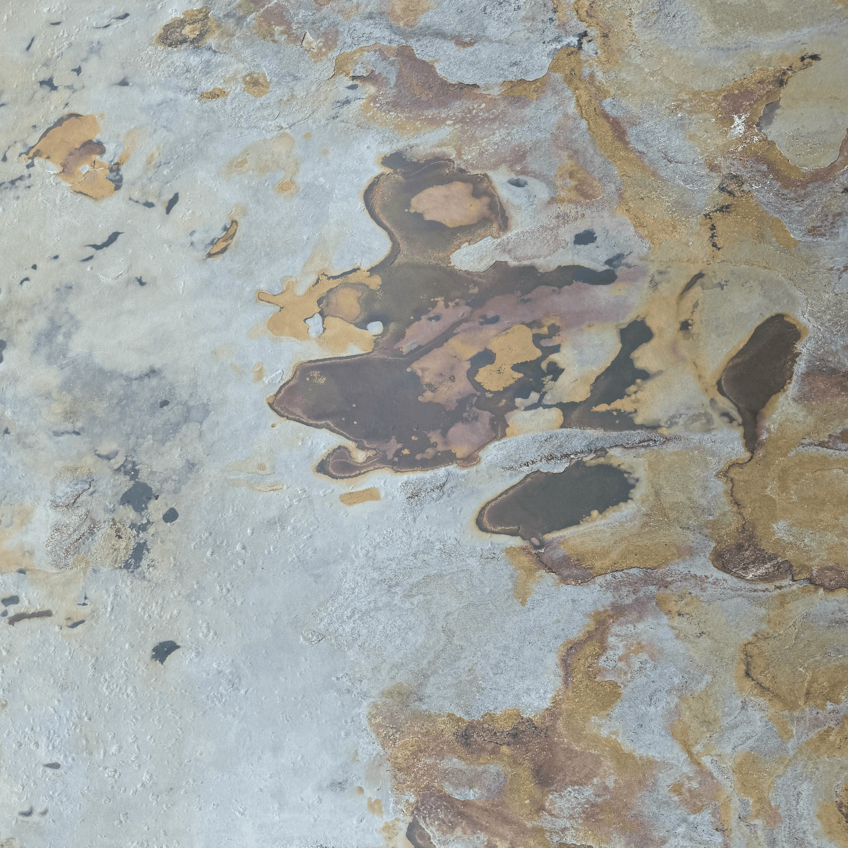 Indian Autumn | 2700 x 605mm gallery detail image