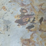 Indian Autumn | 2700 x 605mm gallery detail image