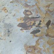 Indian Autumn | 2700 x 605mm gallery detail image