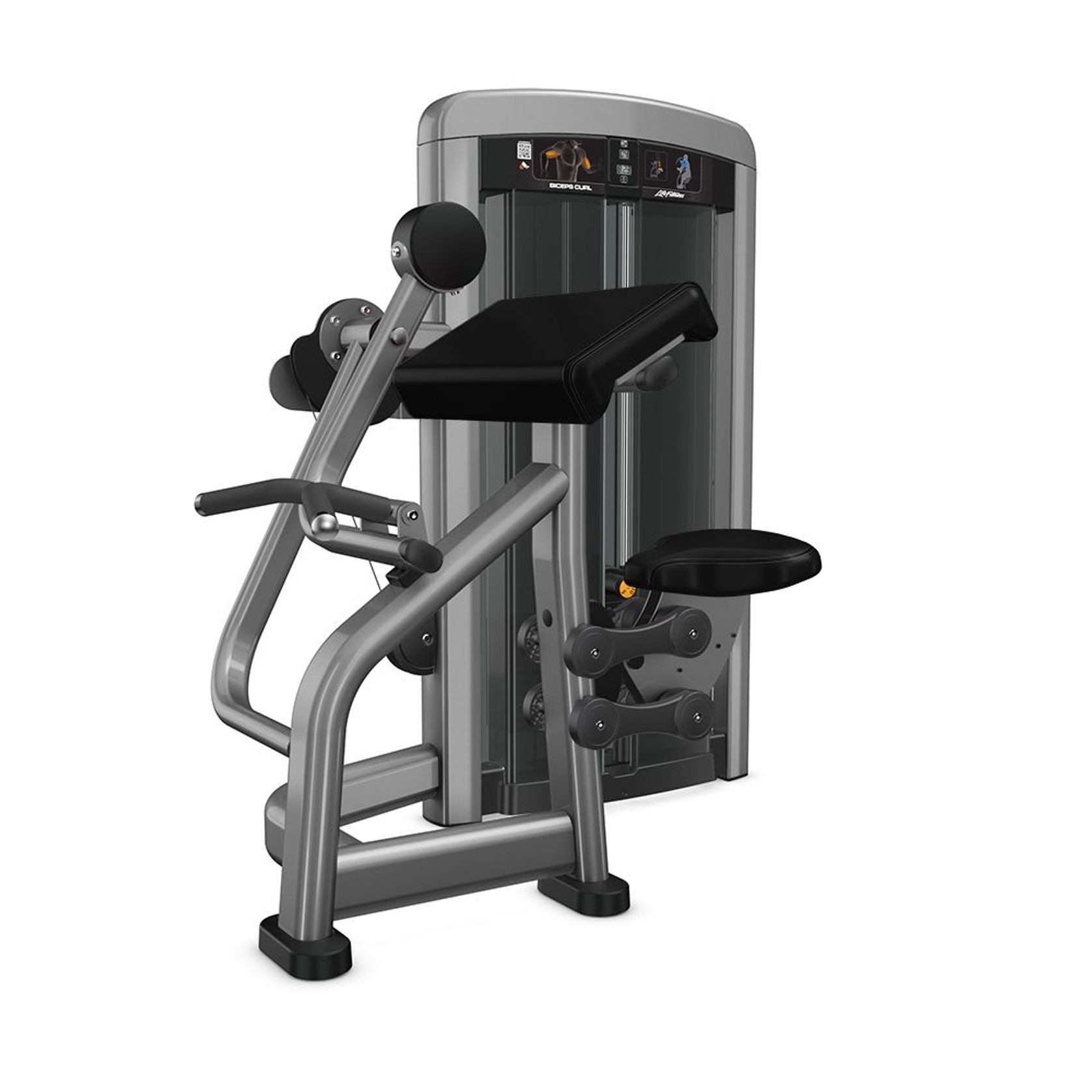 Insignia | Biceps Curl Dependent gallery detail image