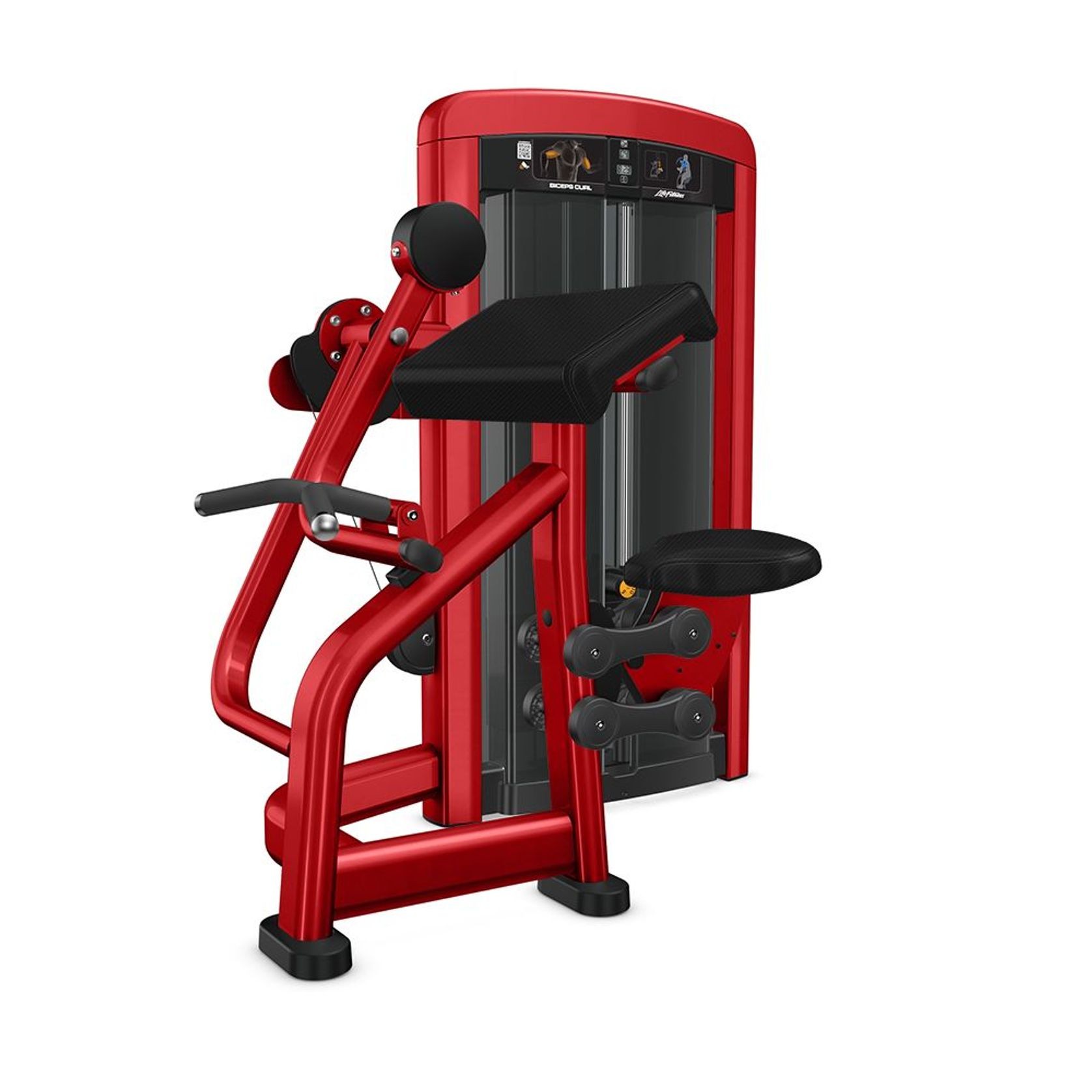 Insignia | Biceps Curl Dependent gallery detail image