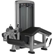 Insignia | Leg Curl gallery detail image