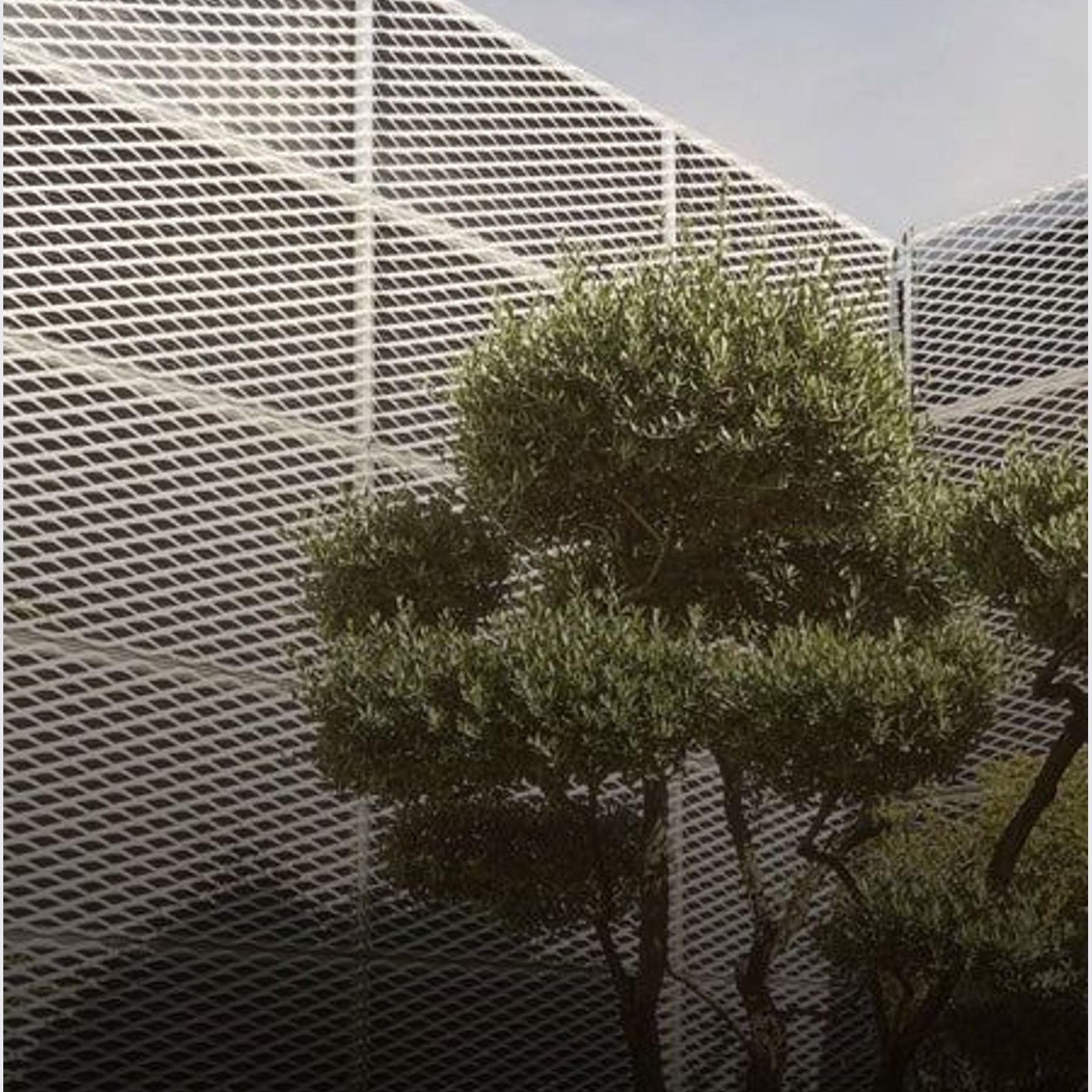 Italmesh Expanded Metal Mesh | Façade & Faux Ceilings gallery detail image