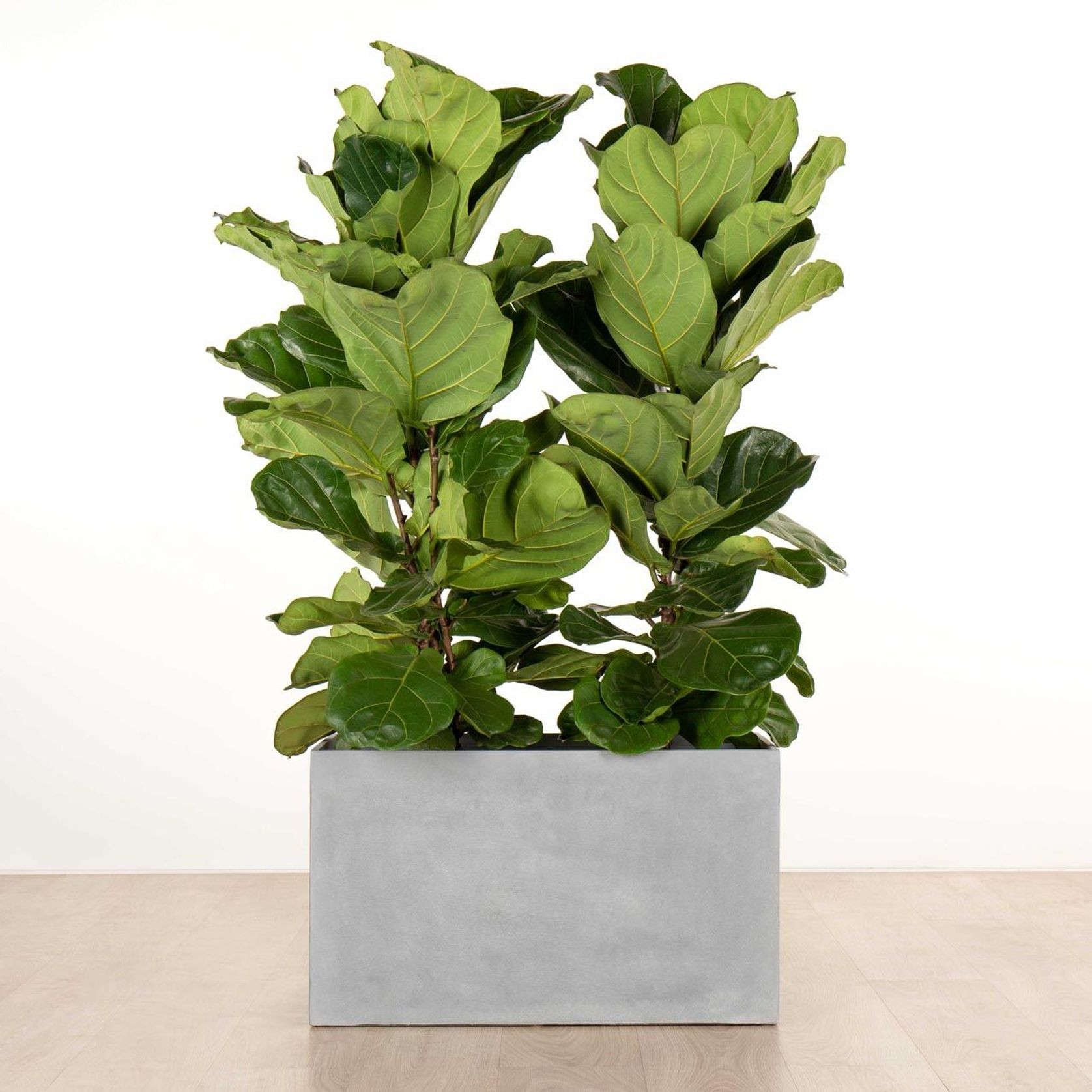 Jindalee Trough gallery detail image