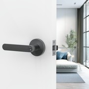 Jun Lever Handle In Nickel Graphite gallery detail image