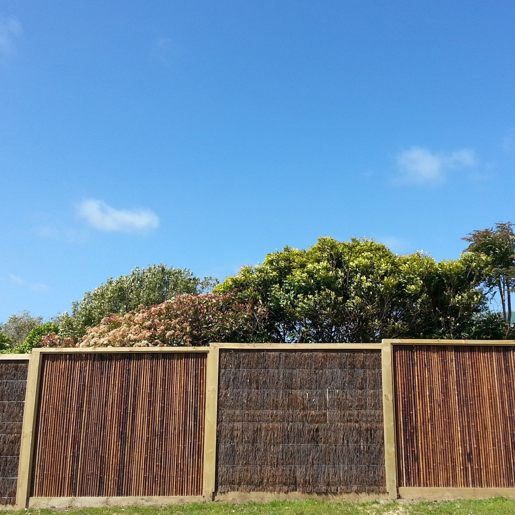 Bamboo Fencing Panels gallery detail image