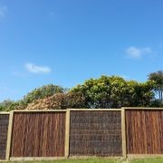 Bamboo Fencing Panels gallery detail image