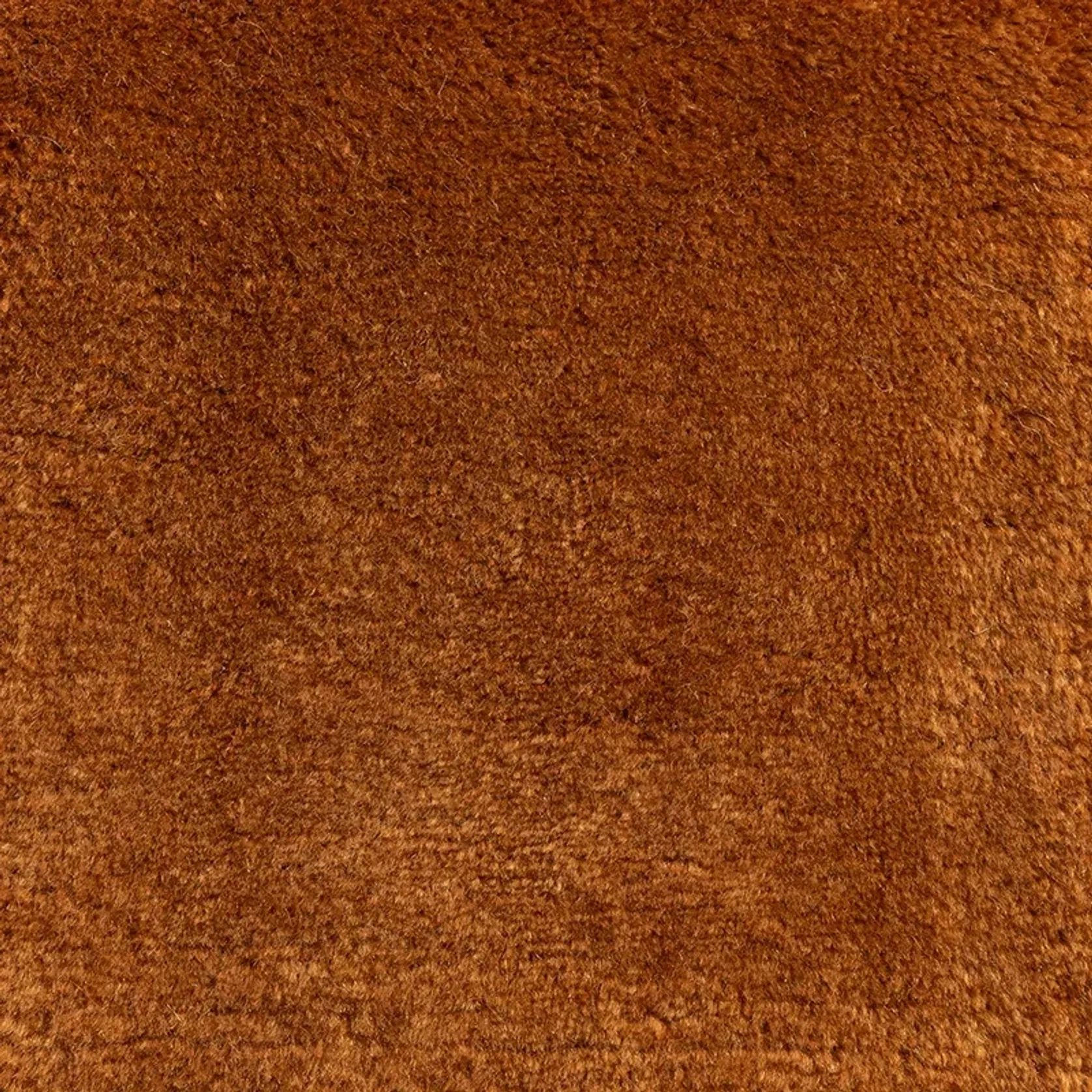 Kashmir Rug gallery detail image