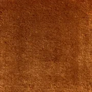 Kashmir Rug gallery detail image