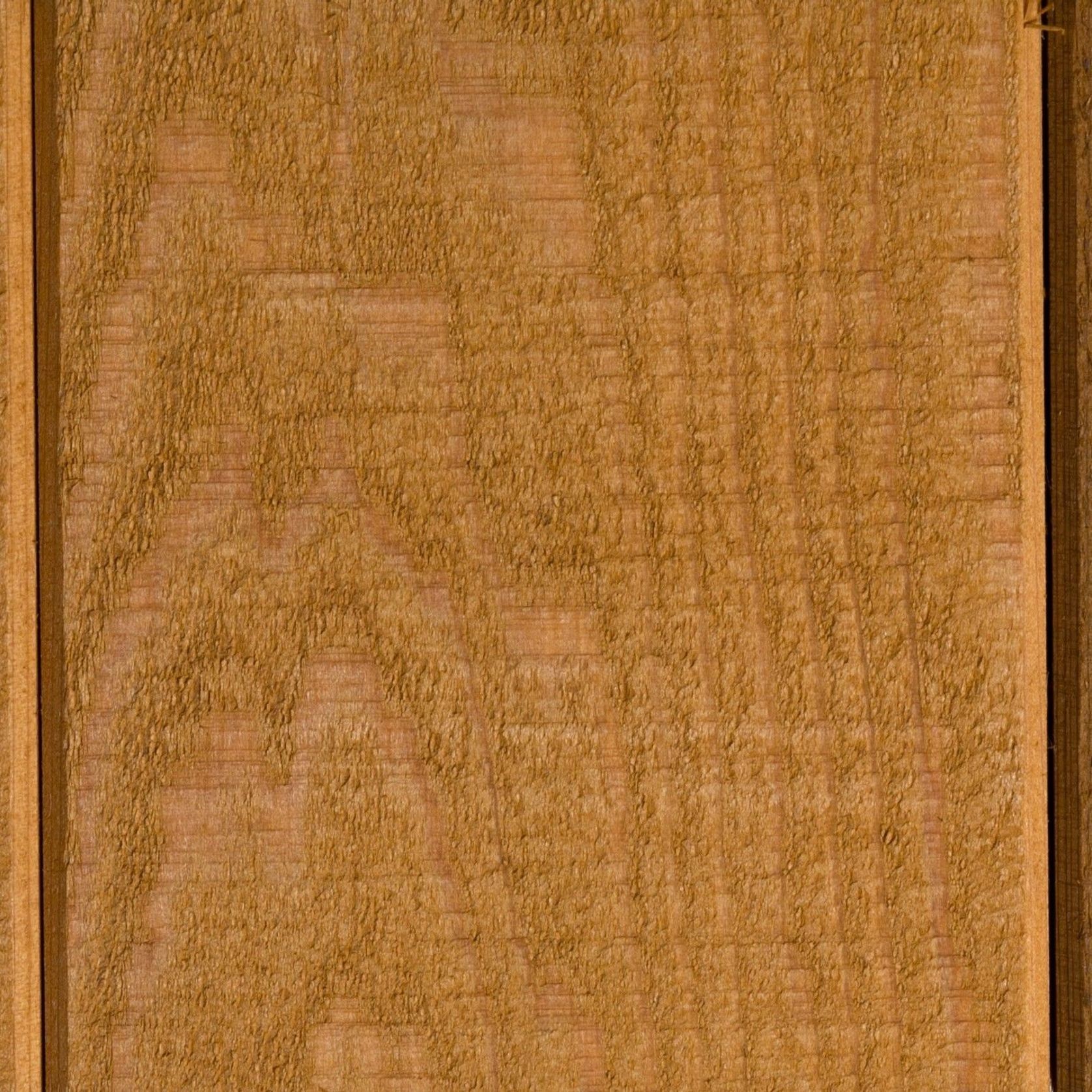 Wood-X Exterior Wood Oil | Kauri Gum gallery detail image