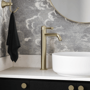 Kingsley Extended Basin Mixer - Brushed Brass gallery detail image