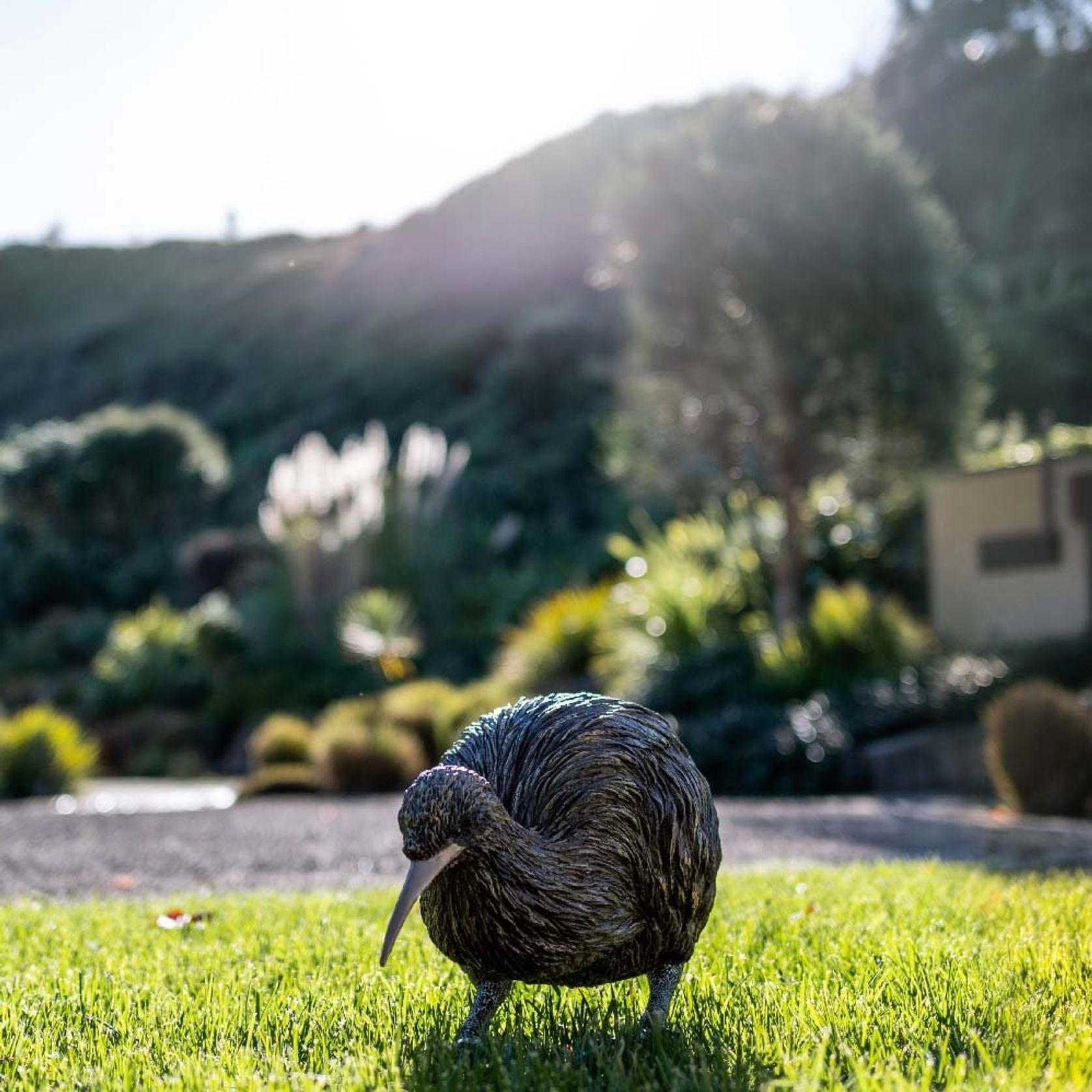 Kiwi by Bespoke Sculpture gallery detail image