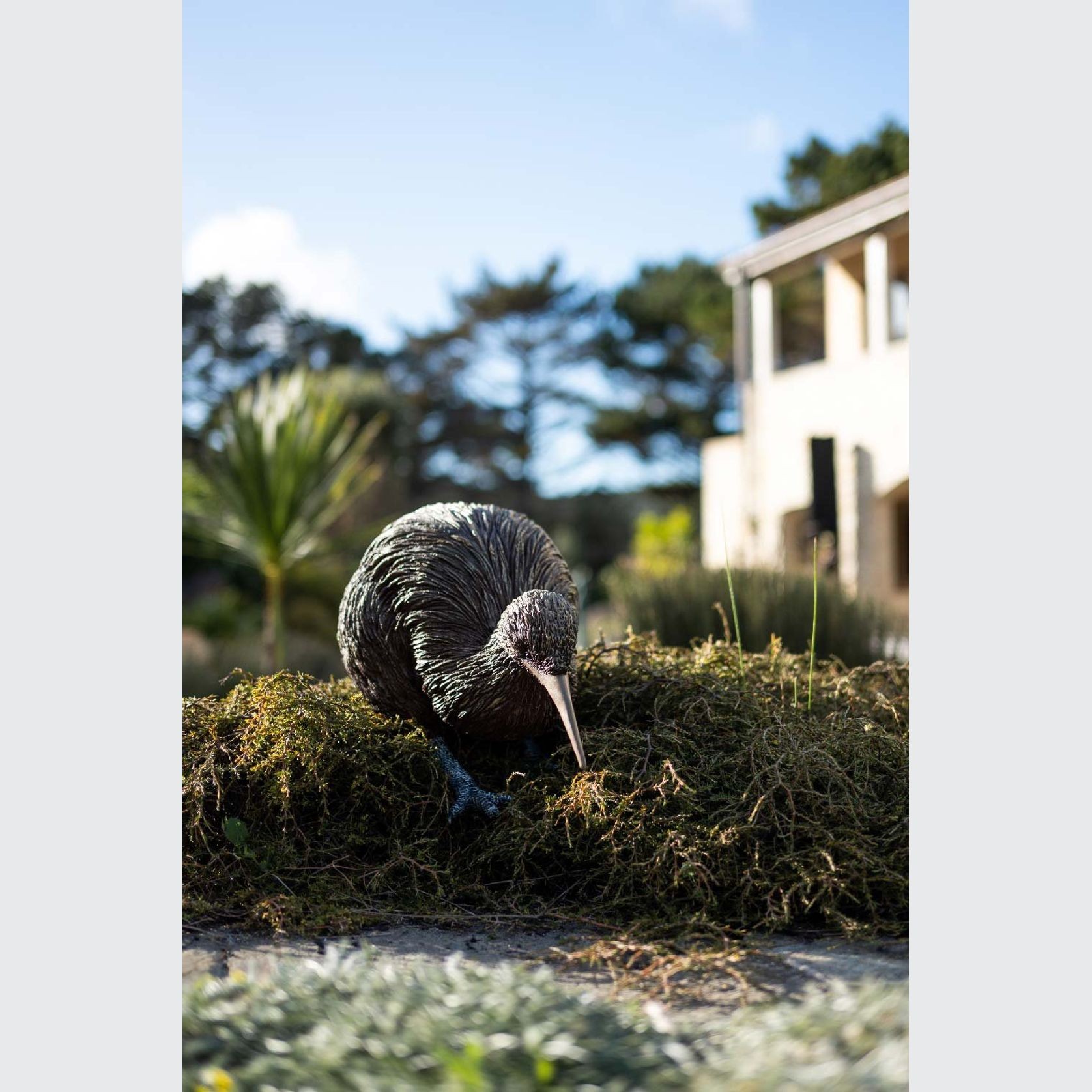 Kiwi by Bespoke Sculpture gallery detail image