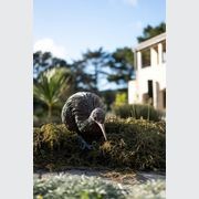 Kiwi by Bespoke Sculpture gallery detail image