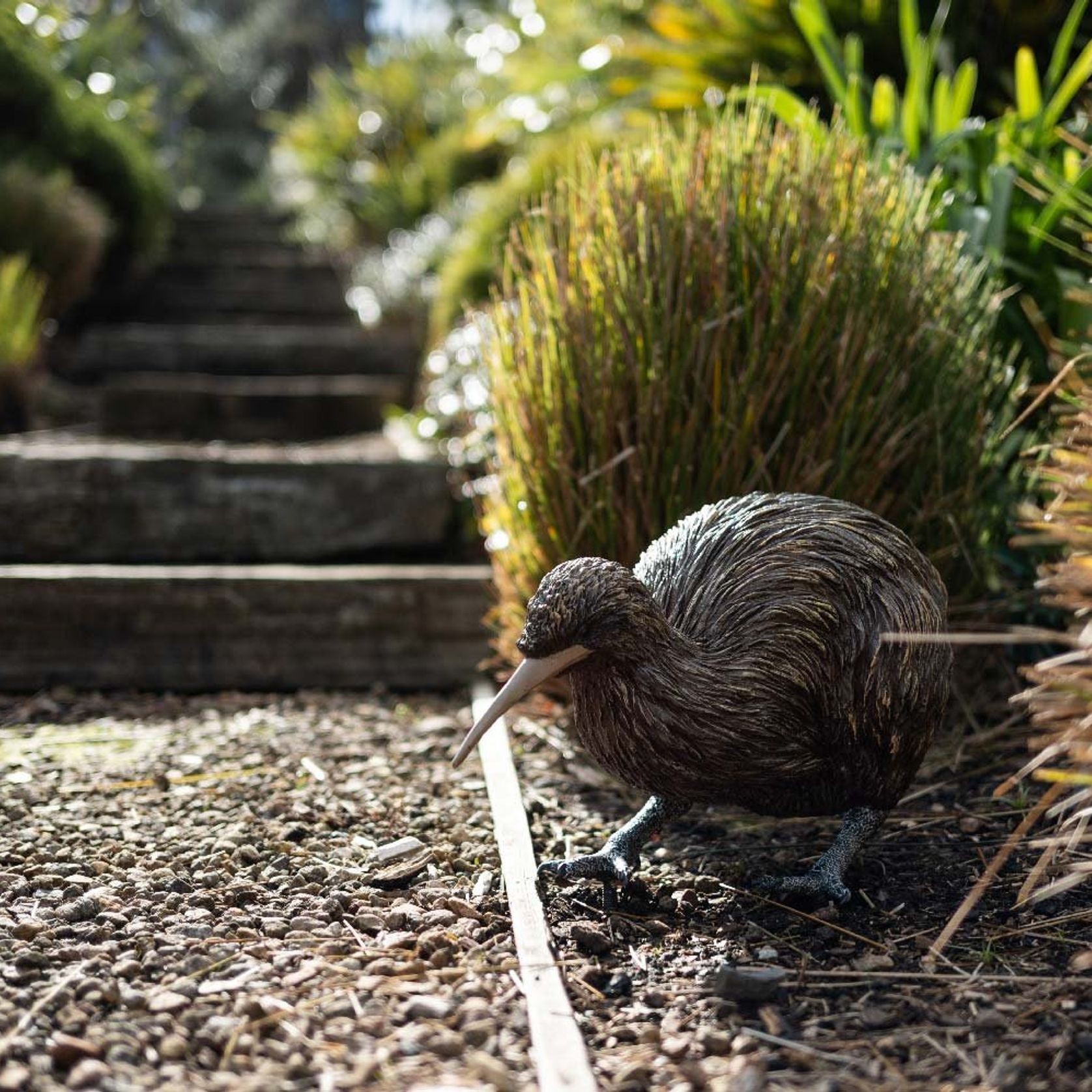 Kiwi by Bespoke Sculpture gallery detail image