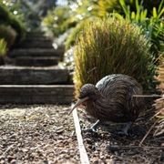 Kiwi by Bespoke Sculpture gallery detail image