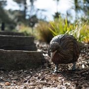 Kiwi by Bespoke Sculpture gallery detail image